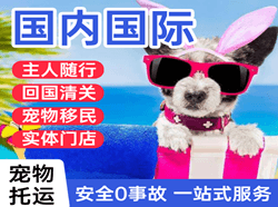 长春龙嘉机场空运国际宠物托运 【国